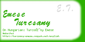 emese turcsany business card